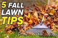 Fall Lawn Care Steps ( YOU MUST DO