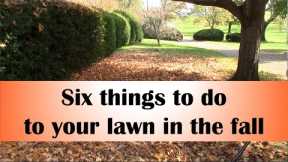 Six things to do to your lawn in the fall