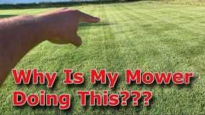 Uneven Grass After Mowing? [How to Spot and How to Fix!]