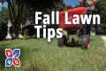 Do My Own Lawn Care - Fall Lawn Tip - 