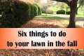 Six things to do to your lawn in the
