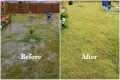 How I Built a French Drain to Improve 