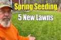 Spring Seeding Lawns Spring Over