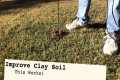 IMPROVE CLAY SOIL - 5 Step Strategy