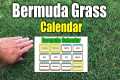 Bermuda Grass Calendar Please See New 