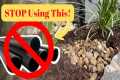 How To Improve Garden Drainage | The
