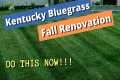 FIX YOUR LAWN - Fall lawn renovation, 