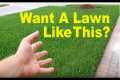 How To Fix An Ugly Lawn | Lawn Care