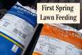Spring Lawn Care // Spring Fertilizer 