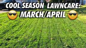 Cool Season Spring Lawncare: March/April ( Evaluate, Plan, Mow, Fertilize, Pre-Emergent)