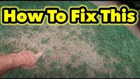 How To and How I Will Fix My Lawn This Fall