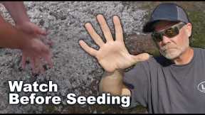 How To GROW GRASS SEED This Fall / Lawn Seeding Tips and Advice