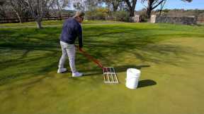 Fixing Winter Damage and Boosting My Lawn for Spring // Fertiliser Boost