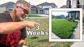 3 Weeks To Fix Your Damaged Lawn This Fall