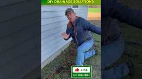 Pro Tip | Drainage Solutions You Can DIY in Your Landscape