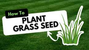 How to Plant Grass Seed