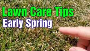 Early Spring Lawn Tips: What To Do 1st, 2nd, & 3rd