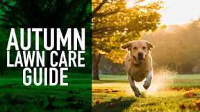 Autumn Lawn Care Guide