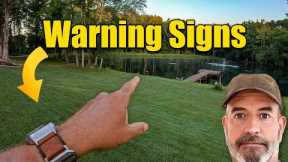 Fall Lawn Care Early Warning Signs