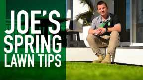 7 Spring Turf Tips from an Industry Expert | Joe’s Favourite Lawn Tips in Preparation for Spring