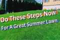 SPRING LAWN TIPS FOR PERFECT SUMMER