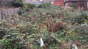 Abandoned London Garden Complete Transformation Makeover. Little Acorns Landscapes (Time-Lapse)