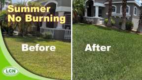 How To Get A Green Lawn In Summer Without Burning It | No Burned Lawn