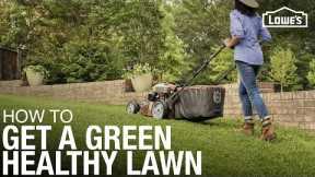 Lawn Care 101: How to Weed, Seed, Feed, Mow, & Water