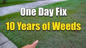 How to Fix an Ugly Lawn - Killing Lawn Weeds