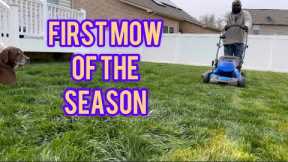 Tall Fescue Lawn Care: First Mow of the Season Tips