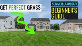 3 EASY STEPS: Summer LAWN CARE for Beginners | Get Perfect Grass!