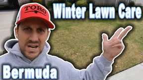 Winter Lawn Care for Bermudagrass // Easy Lawn Tips for Dormant Grass // Do it All in Just One Day!