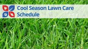 Year-Round Timing for Cool Season Lawn Care: Seasonal Tips and Schedule | DoMyOwn.com