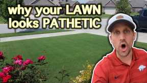 Beginner Lawn Care Tips // How To Improve Your Lawn in 3 Easy Steps // Motivation for a Nice Lawn