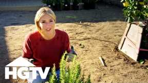 Front Yard Design Tips From Jasmine Roth | Hidden Potential | HGTV