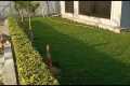 Lawn Care Tips for Beginners-