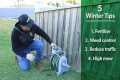 Winter Lawn Care