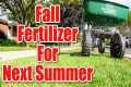 Fall Lawn Care and Maintenance in 3