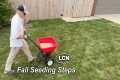 FALL LAWN SEEDING // Step By Step