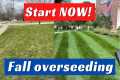 Lawn Overseeding In Fall: How YOU Can 