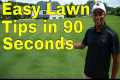 How to GET GREEN GRASS - EASY Lawn