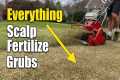 Spring Lawn Scalp Fertilizer and Grub 