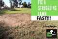 How to Fix a Struggling Lawn. FAST!!!