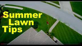 Summer Lawn Care Tips - North and South