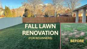 Fall Lawn Renovation Steps for Beginners!